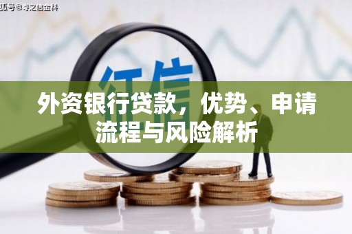 武陟外资银行贷款，优势、申请流程与风险解析