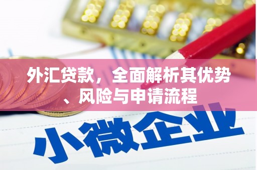 武陟外汇贷款，全面解析其优势、风险与申请流程