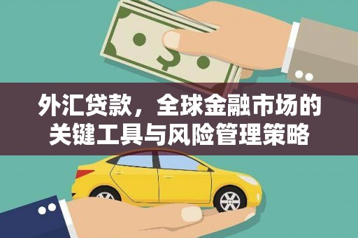 武陟外汇贷款，全球金融市场的关键工具与风险管理策略