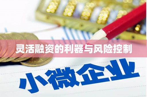 武陟灵活融资的利器与风险控制