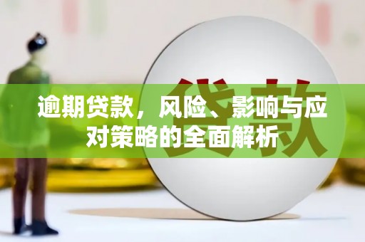 武陟逾期贷款，风险、影响与应对策略的全面解析