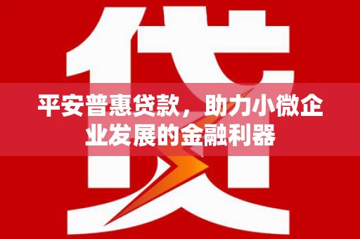 武陟平安普惠贷款，助力小微企业发展的金融利器