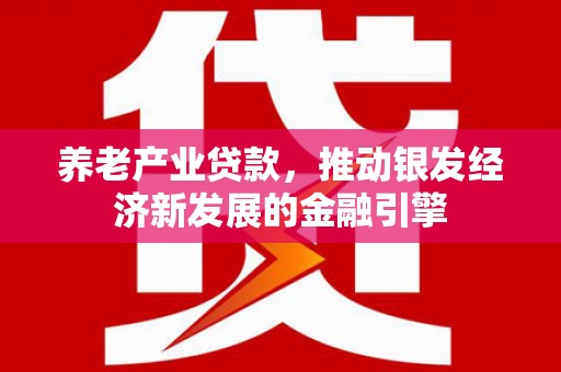 武陟养老产业贷款，推动银发经济新发展的金融引擎