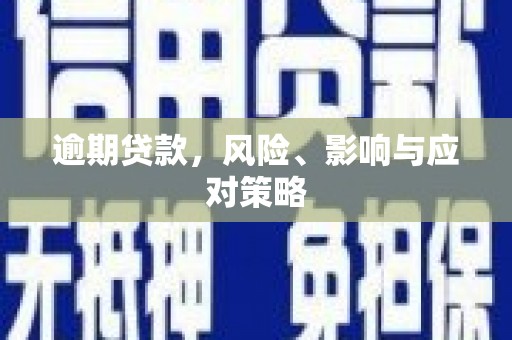 武陟逾期贷款，风险、影响与应对策略