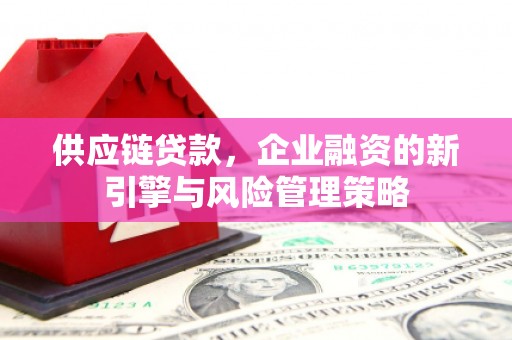 武陟供应链贷款，企业融资的新引擎与风险管理策略