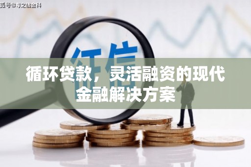 武陟循环贷款，灵活融资的现代金融解决方案