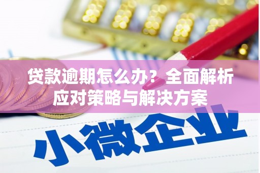 武陟贷款逾期怎么办？全面解析应对策略与解决方案