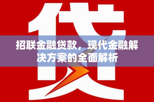 武陟招联金融贷款，现代金融解决方案的全面解析