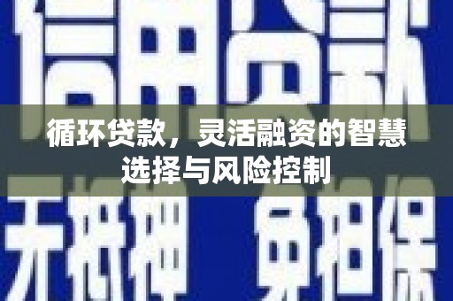 武陟循环贷款，灵活融资的智慧选择与风险控制