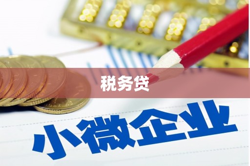 武陟税务贷