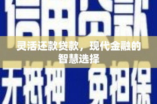武陟灵活还款贷款，现代金融的智慧选择