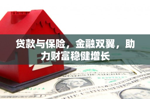 武陟贷款与保险，金融双翼，助力财富稳健增长