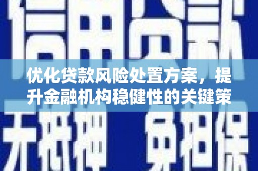 武陟优化贷款风险处置方案，提升金融机构稳健性的关键策略