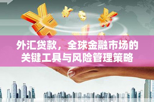 武陟外汇贷款，全球金融市场的关键工具与风险管理策略