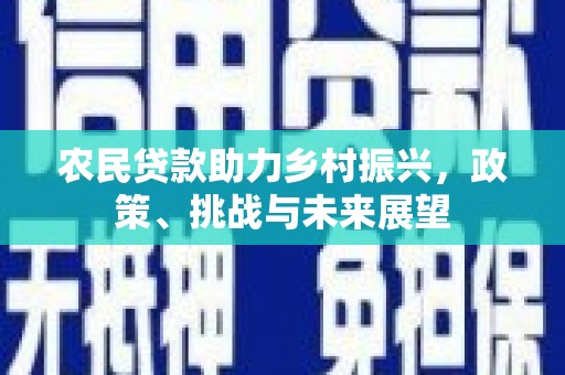 武陟农民贷款助力乡村振兴，政策、挑战与未来展望