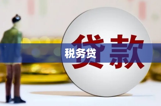 武陟税务贷