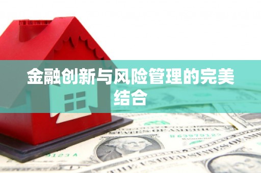 武陟金融创新与风险管理的完美结合