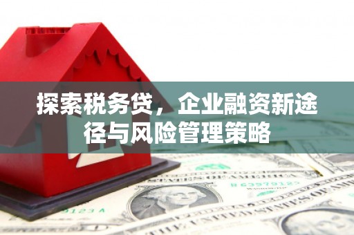 武陟探索税务贷，企业融资新途径与风险管理策略