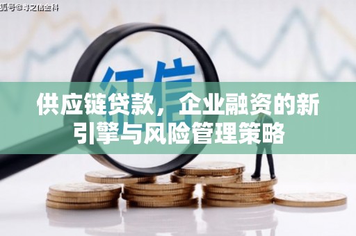 武陟供应链贷款，企业融资的新引擎与风险管理策略
