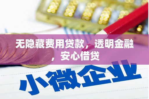 武陟无隐藏费用贷款，透明金融，安心借贷