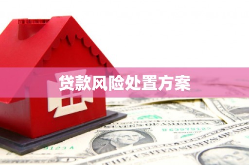 武陟贷款风险处置方案