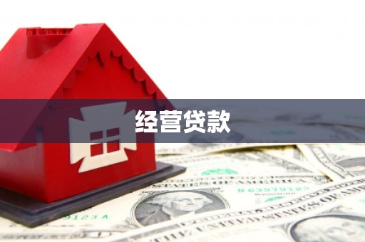 武陟经营贷款