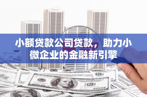 武陟小额贷款公司贷款，助力小微企业的金融新引擎