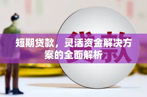 武陟短期贷款，灵活资金解决方案的全面解析