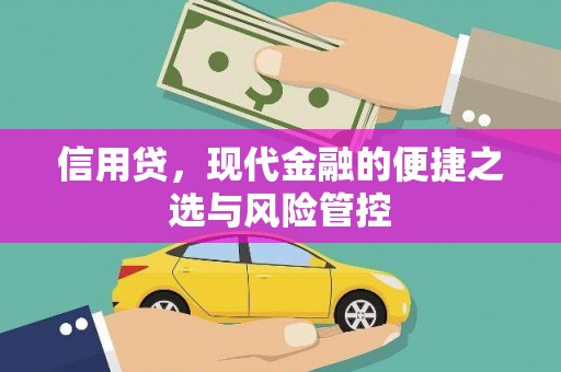 武陟信用贷，现代金融的便捷之选与风险管控