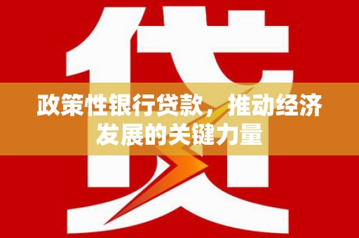 武陟政策性银行贷款，推动经济发展的关键力量