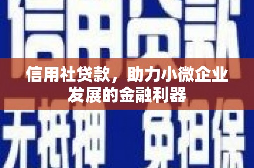 武陟信用社贷款，助力小微企业发展的金融利器