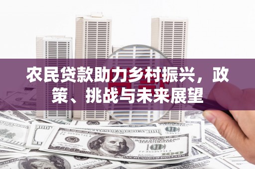 武陟农民贷款助力乡村振兴，政策、挑战与未来展望