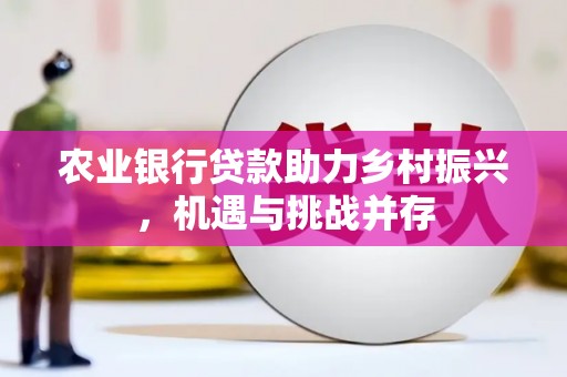武陟农业银行贷款助力乡村振兴，机遇与挑战并存