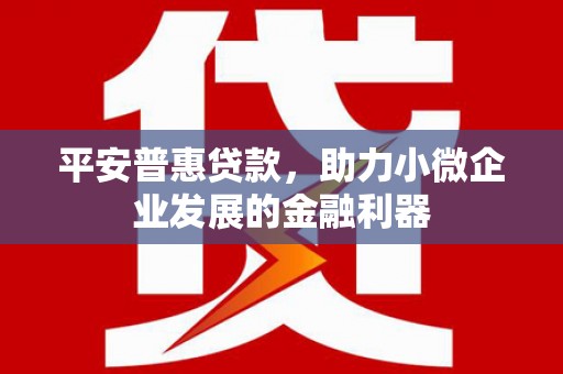 武陟平安普惠贷款，助力小微企业发展的金融利器