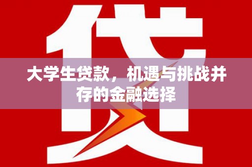武陟大学生贷款，机遇与挑战并存的金融选择