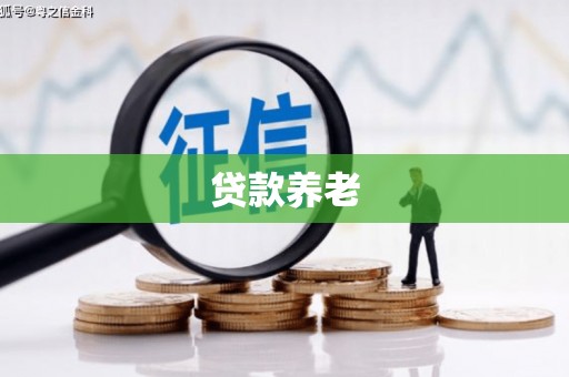 武陟贷款养老