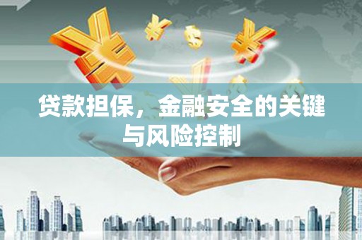 武陟贷款担保，金融安全的关键与风险控制