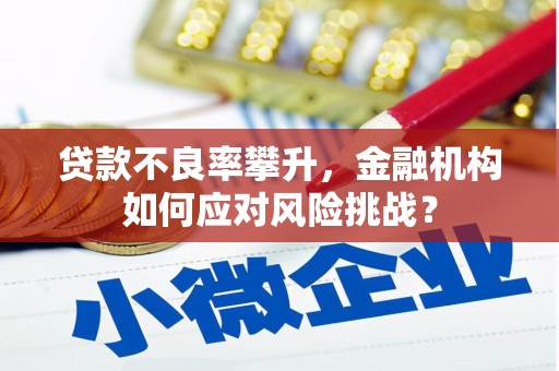 武陟贷款不良率攀升，金融机构如何应对风险挑战？