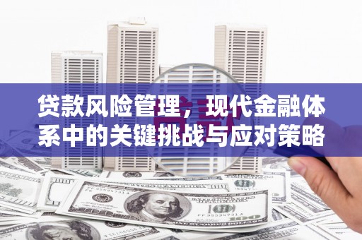 武陟贷款风险管理，现代金融体系中的关键挑战与应对策略