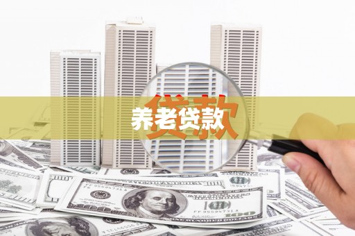 武陟养老贷款