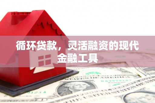 武陟循环贷款，灵活融资的现代金融工具