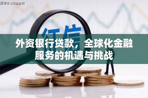 武陟外资银行贷款，全球化金融服务的机遇与挑战