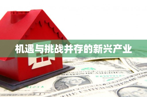 武陟机遇与挑战并存的新兴产业